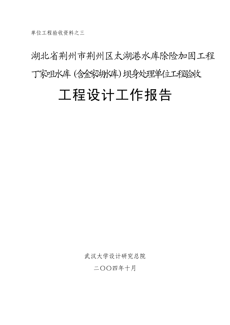 工程设计工作报告(丁家咀水库坝身处理)_第1页