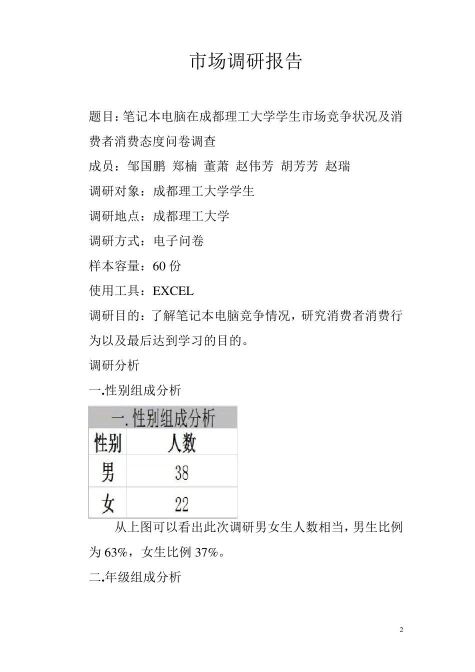 市场调研报告_第2页