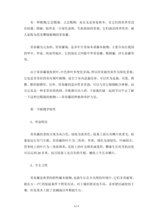 常春藤的种植和养护方法