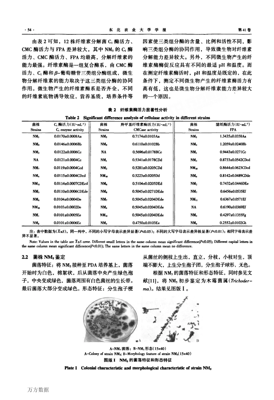 常温高效纤维素分解菌的筛选_第3页