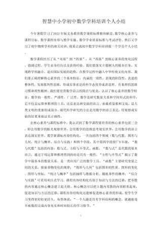 智慧中小学初中数学学科培训个人小结