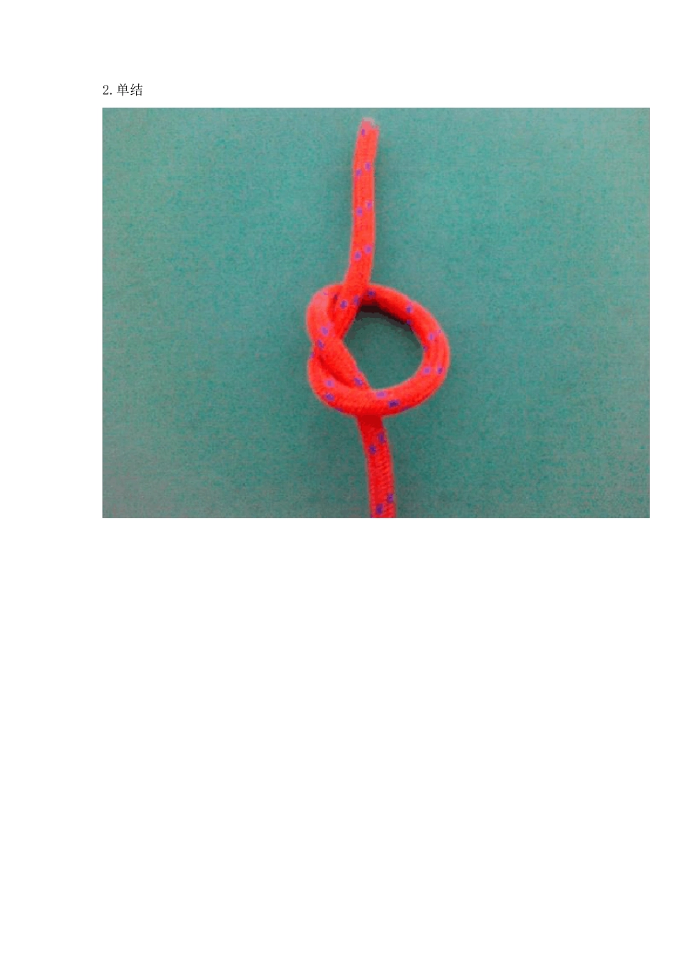 常用24种绳结_第2页