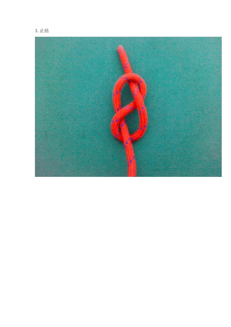常用24种绳结_第3页