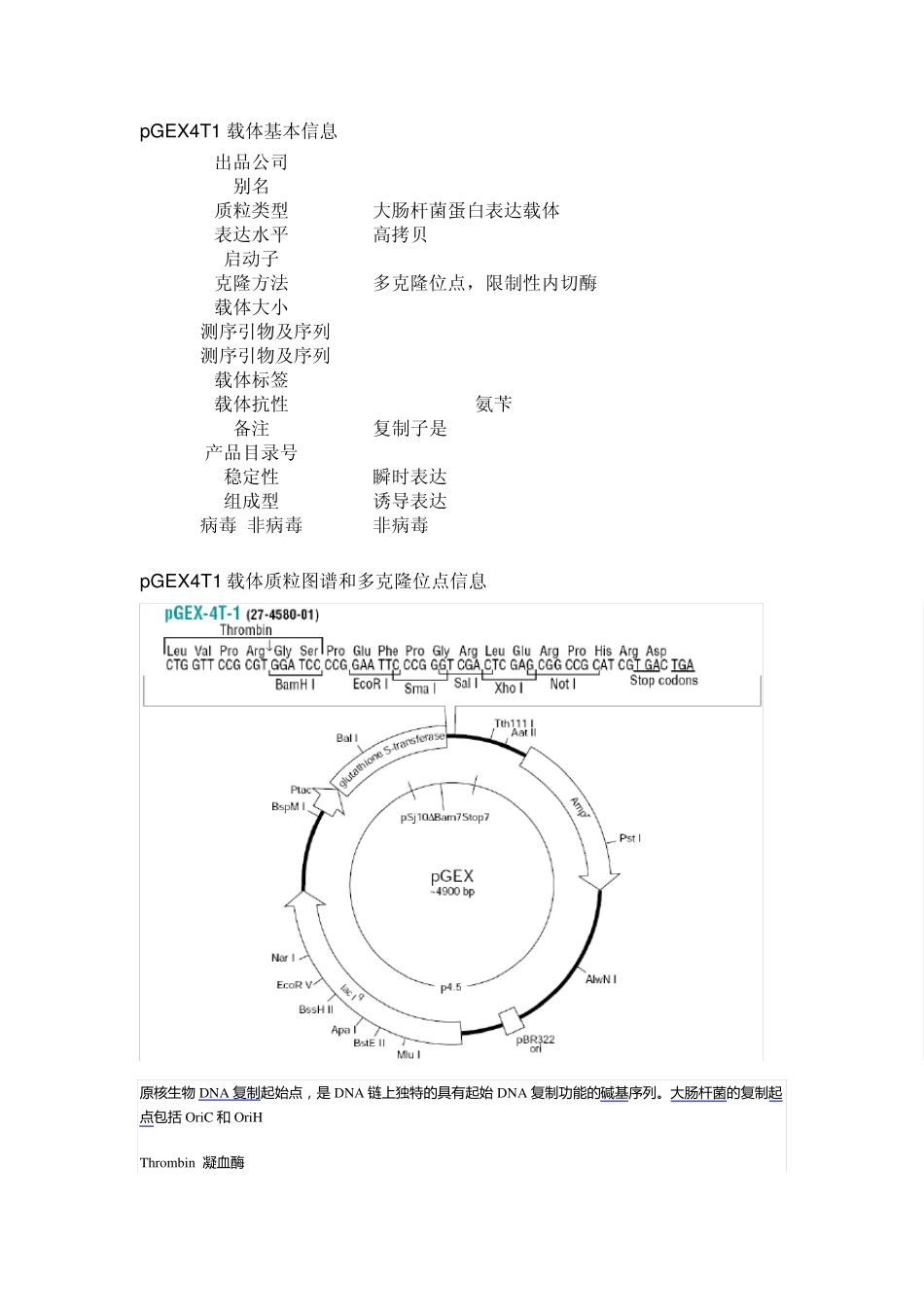 常用pGEX载体图谱_第2页