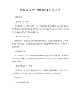 预算管理存在的问题及对策建议