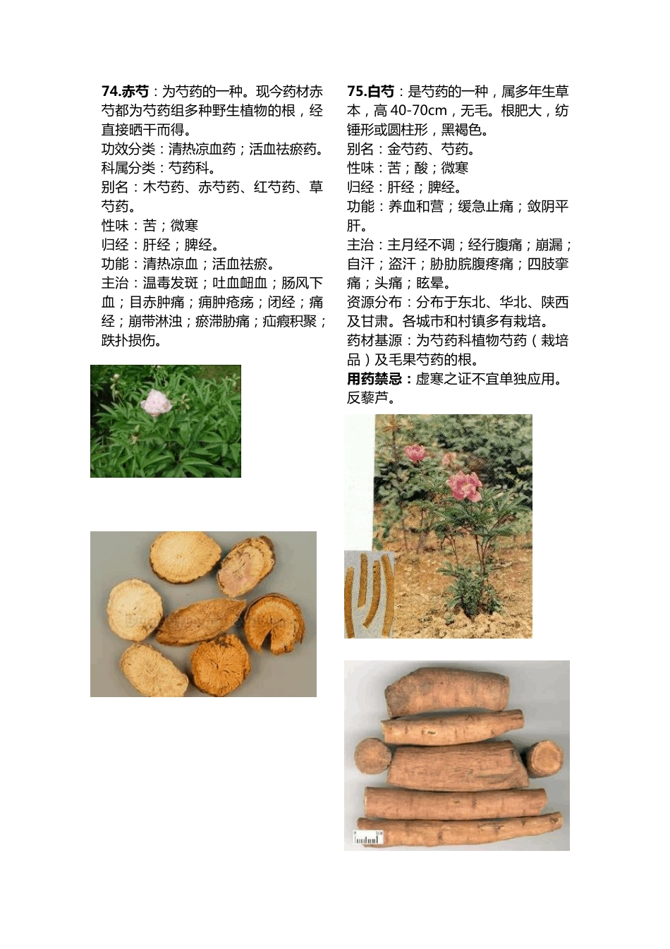 常用中药材大全_第1页