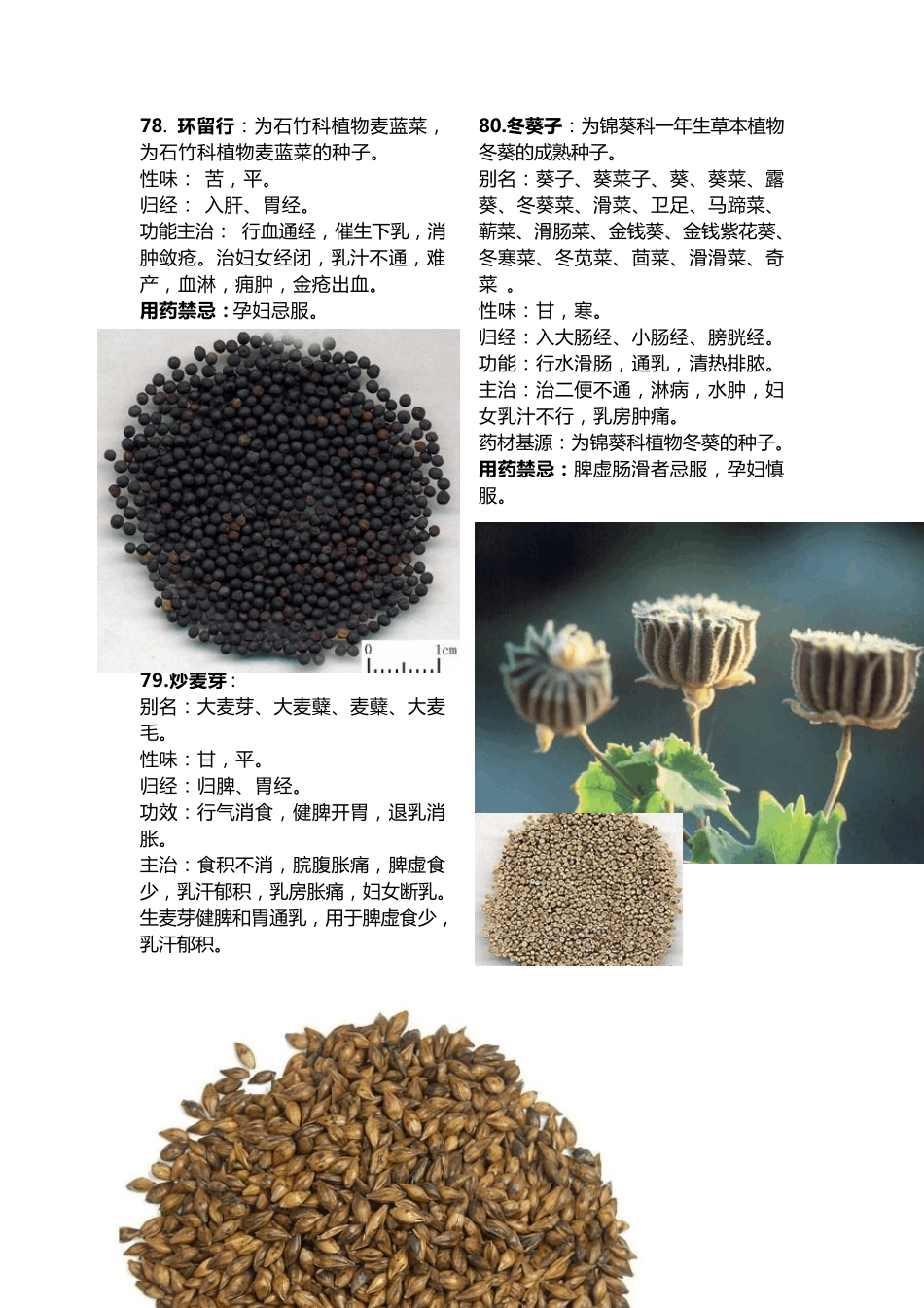 常用中药材大全_第3页