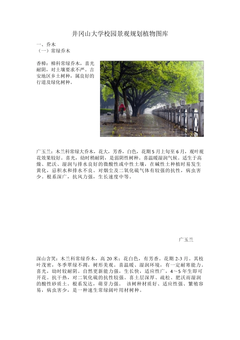 常用园林植物详细介绍(植物说明+图片)_第1页
