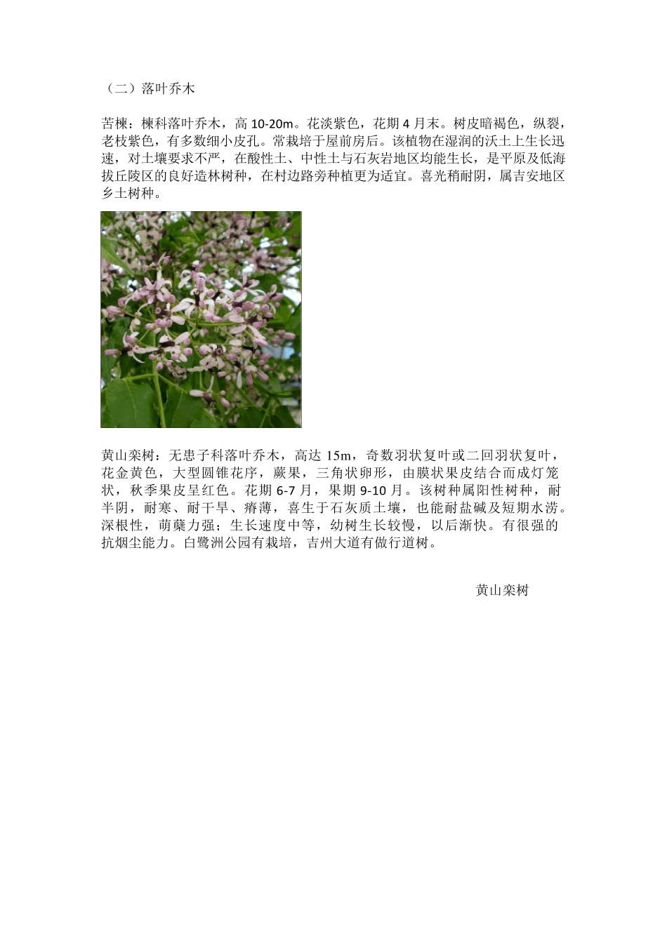 常用园林植物详细介绍(植物说明+图片)_第3页