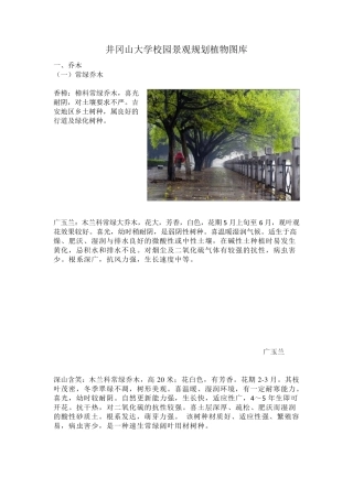 常用园林植物详细介绍(植物说明+图片)