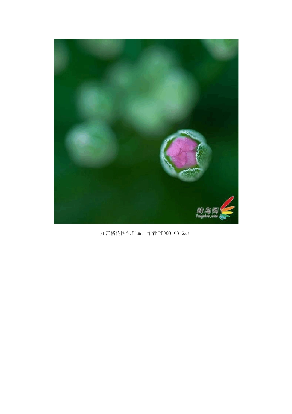 常用摄影构图法_第2页