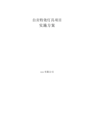 自贡特效灯具项目实施方案