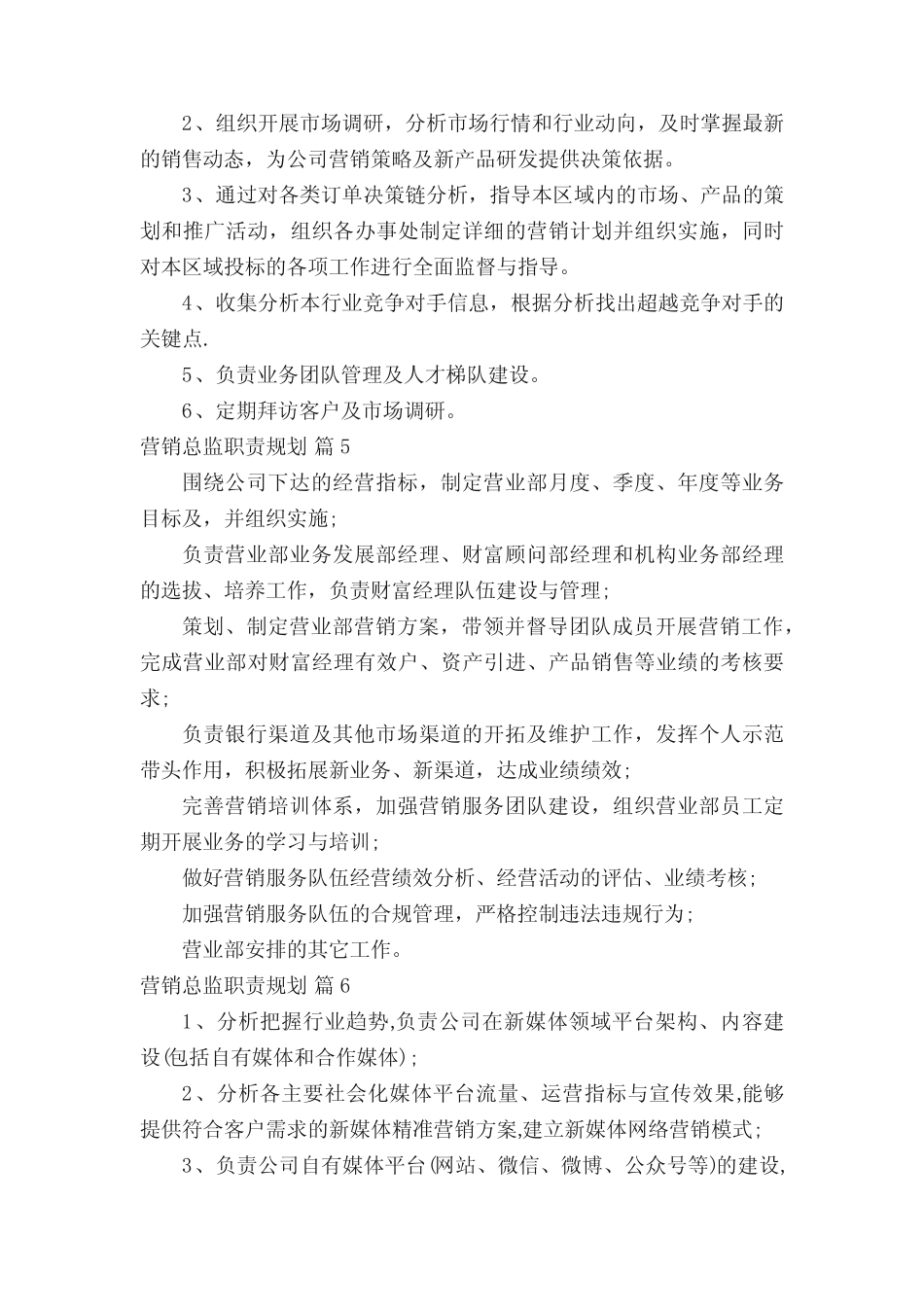营销总监职责规划(精选21则)_第2页