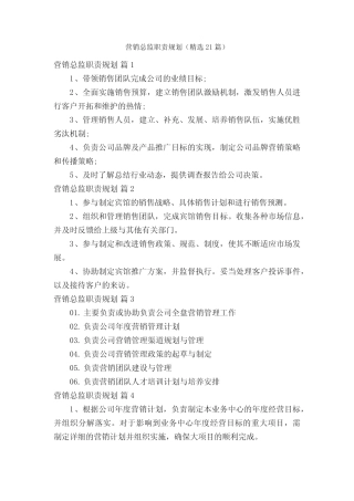 营销总监职责规划(精选21则)