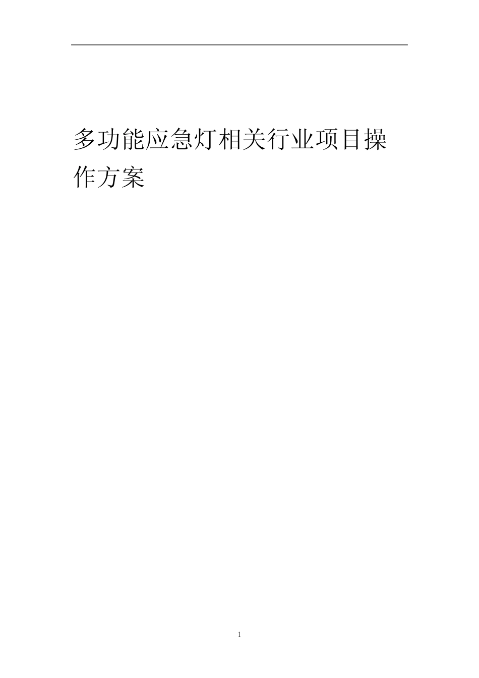 2023年多功能应急灯相关行业项目操作方案_第1页