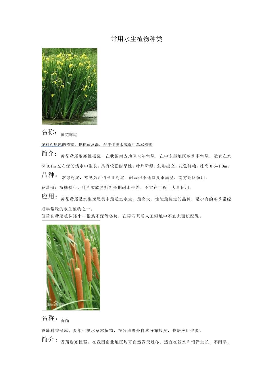 常用水生植物种类_第1页