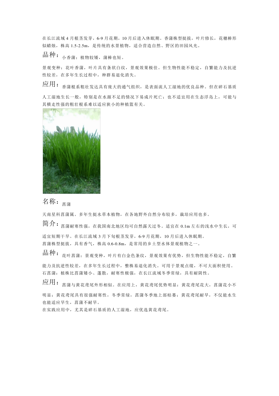 常用水生植物种类_第2页