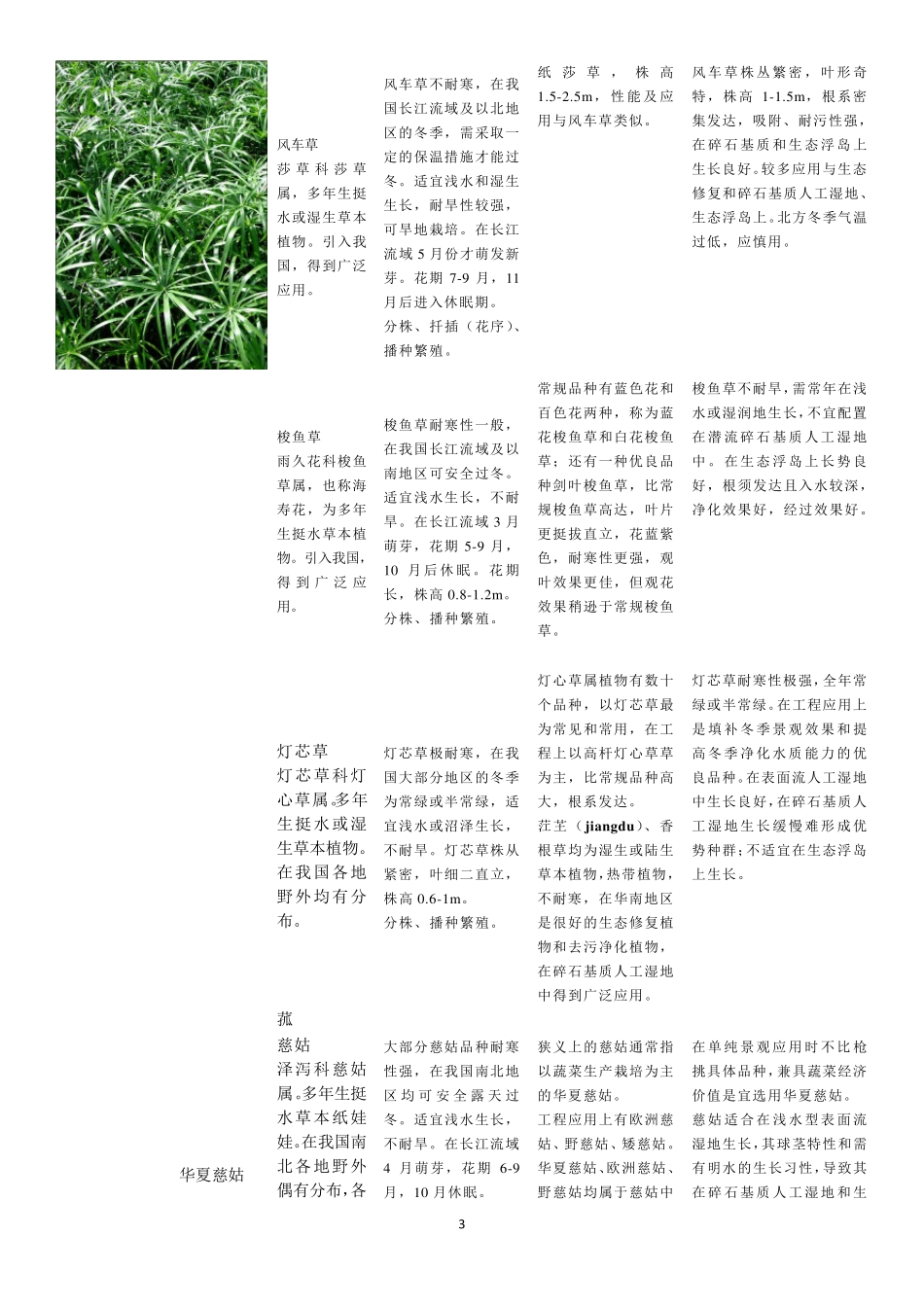 常用水生植物种类总结_第3页