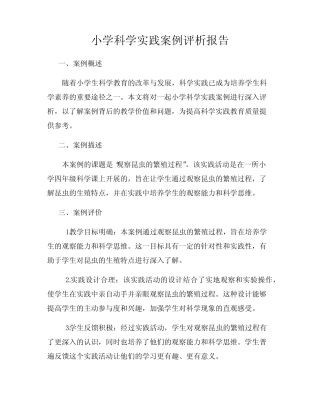 小学科学实践案例评析报告