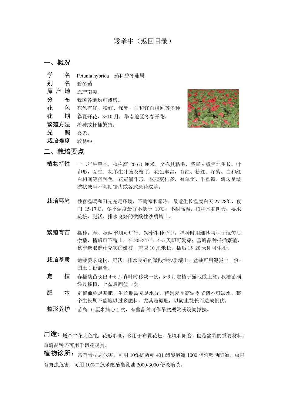 常用花卉目录_第2页