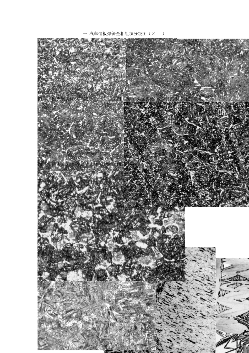 常用金相组织图片总结_第1页