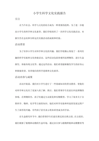小学生科学文化实践报告