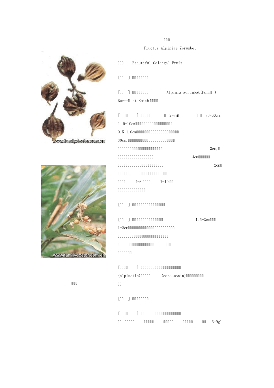 常见中草药—果实类_第1页
