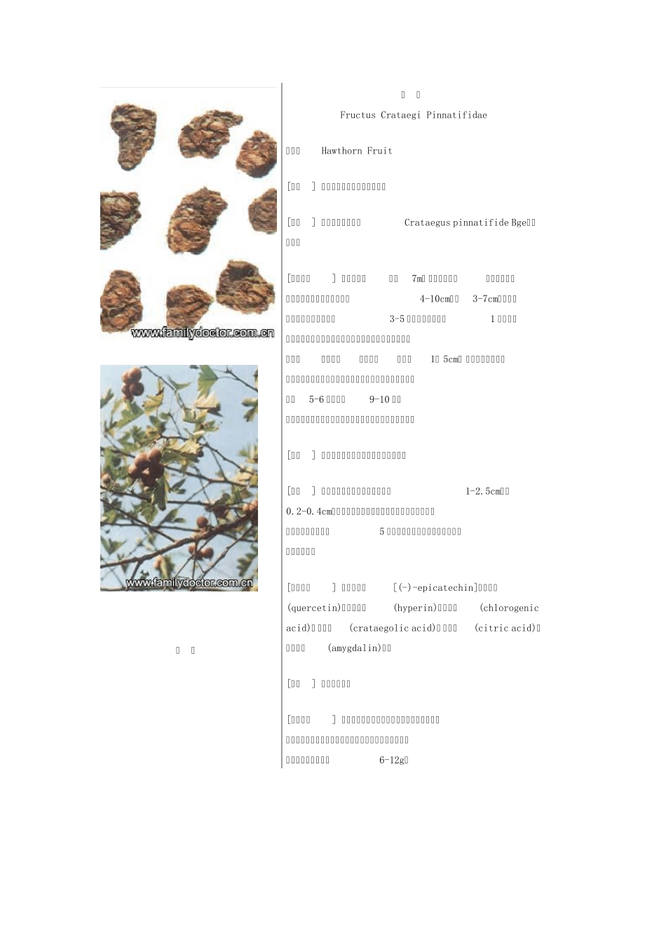 常见中草药—果实类_第2页