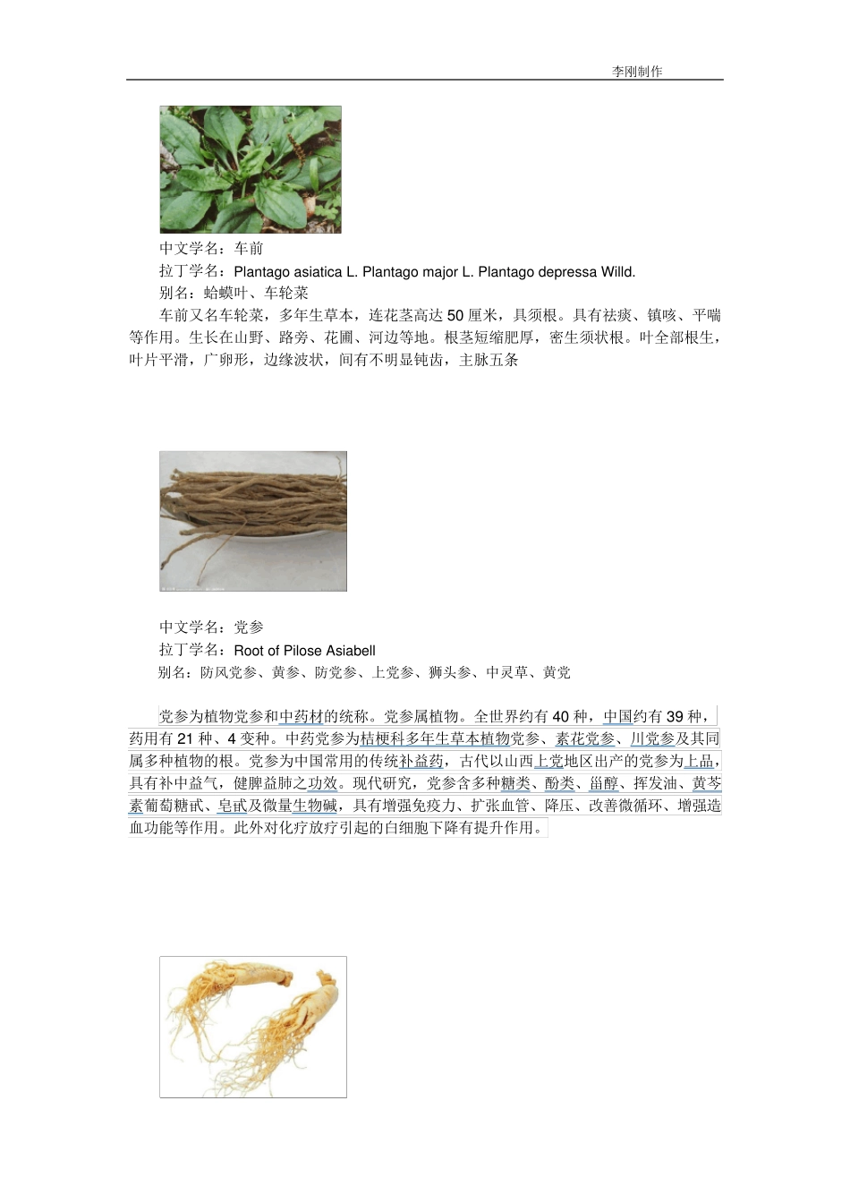 常见中草药简介_第3页