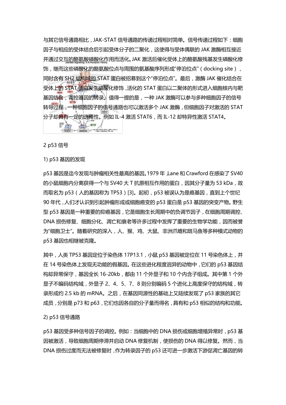 常见信号通路_第2页