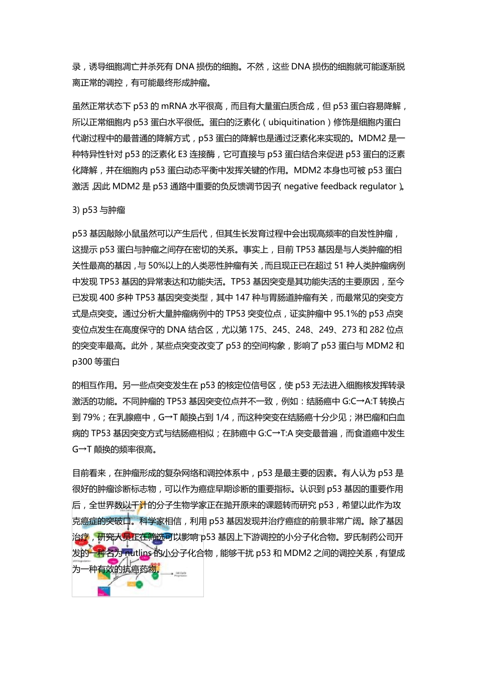 常见信号通路_第3页