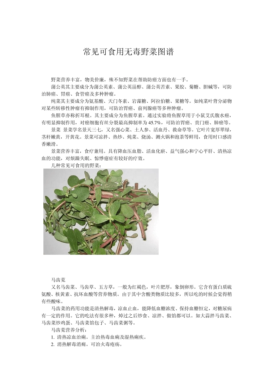 常见可食用无毒野菜图谱_第1页