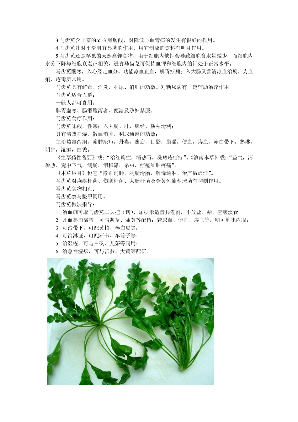 常见可食用无毒野菜图谱_第2页