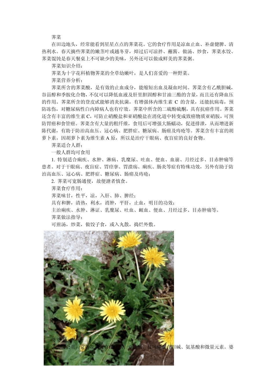 常见可食用无毒野菜图谱_第3页