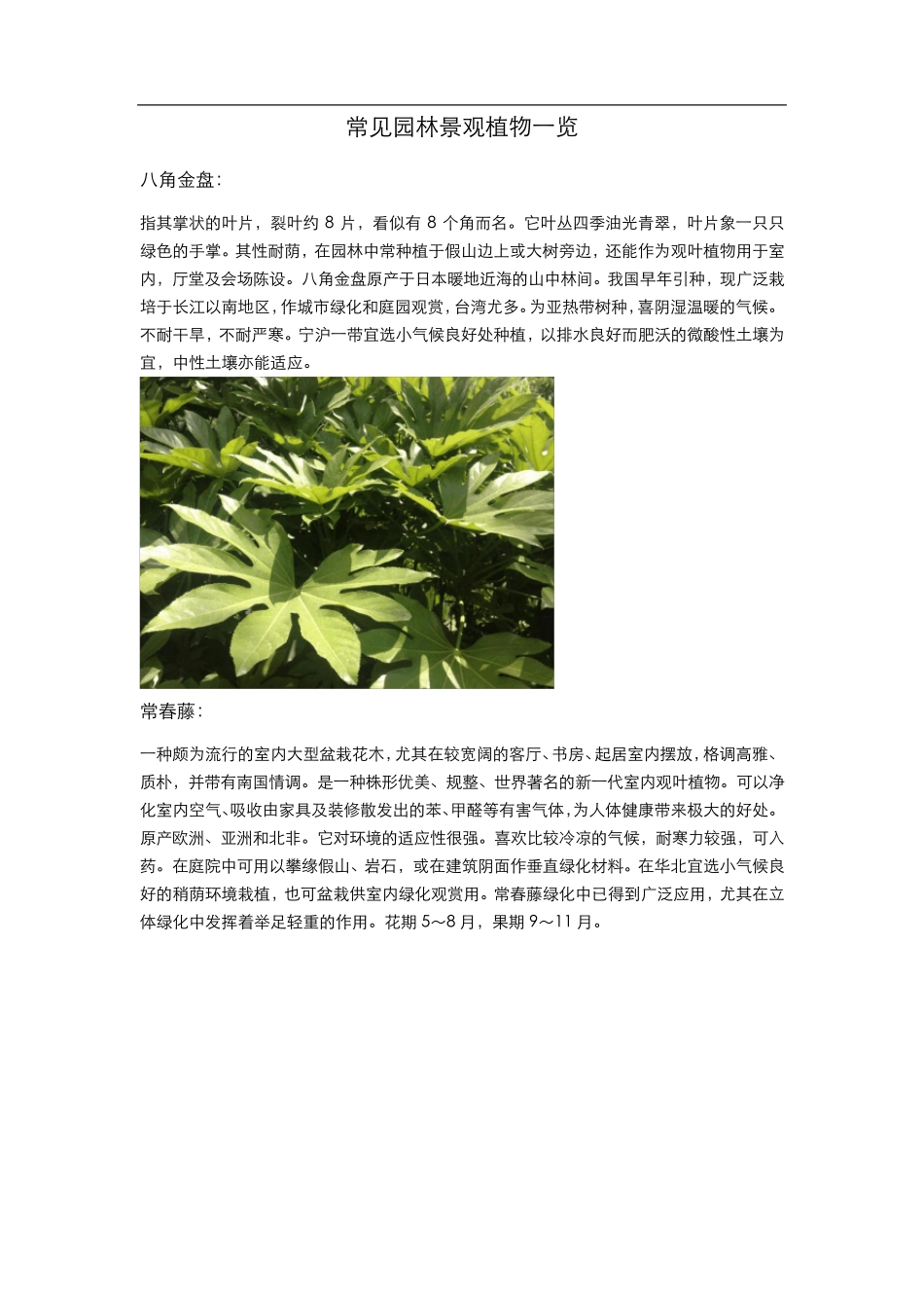 常见园林景观植物一览_第1页