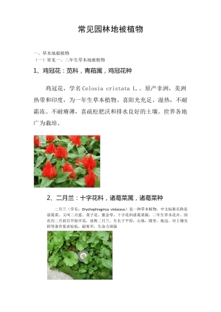 常见园林地被植物