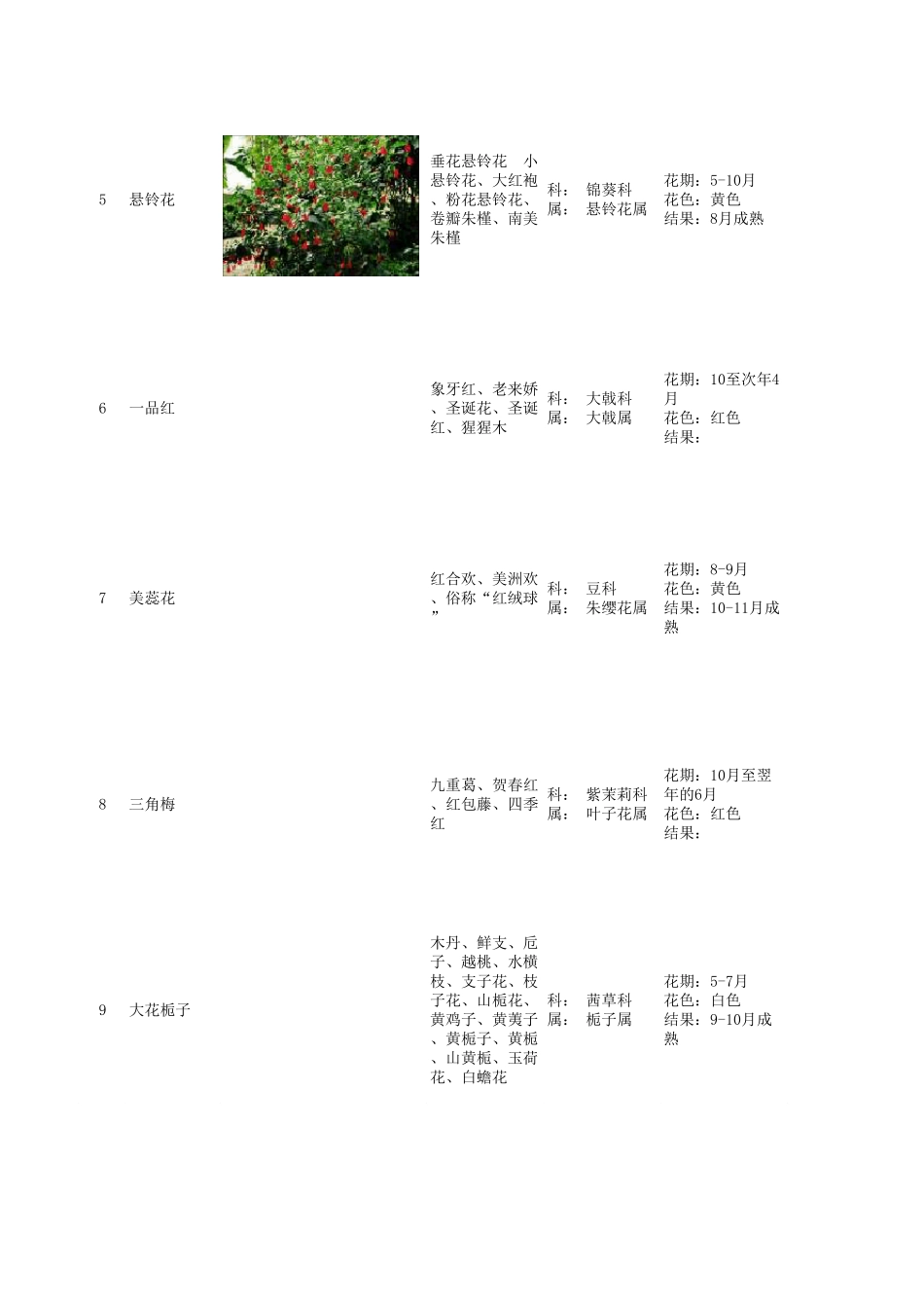 常见园林植物——观花灌木_第2页
