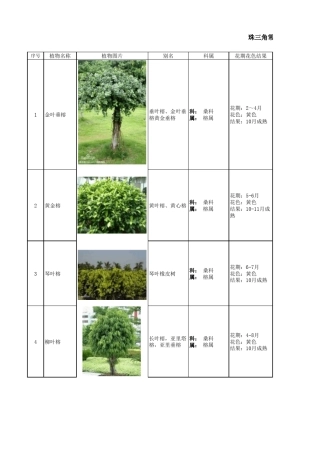 常见园林植物——观叶灌木