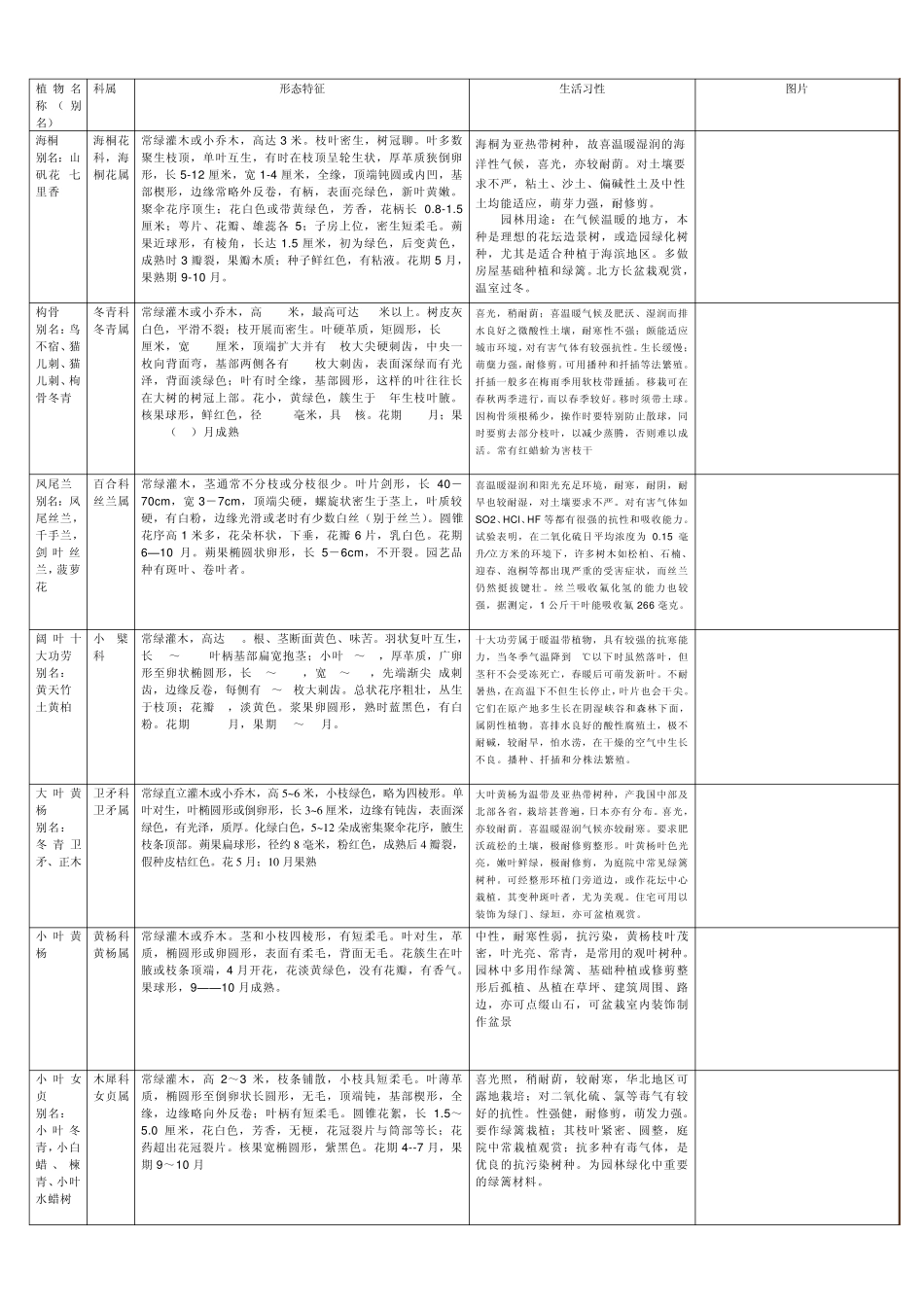 常见园林植物识别_第2页