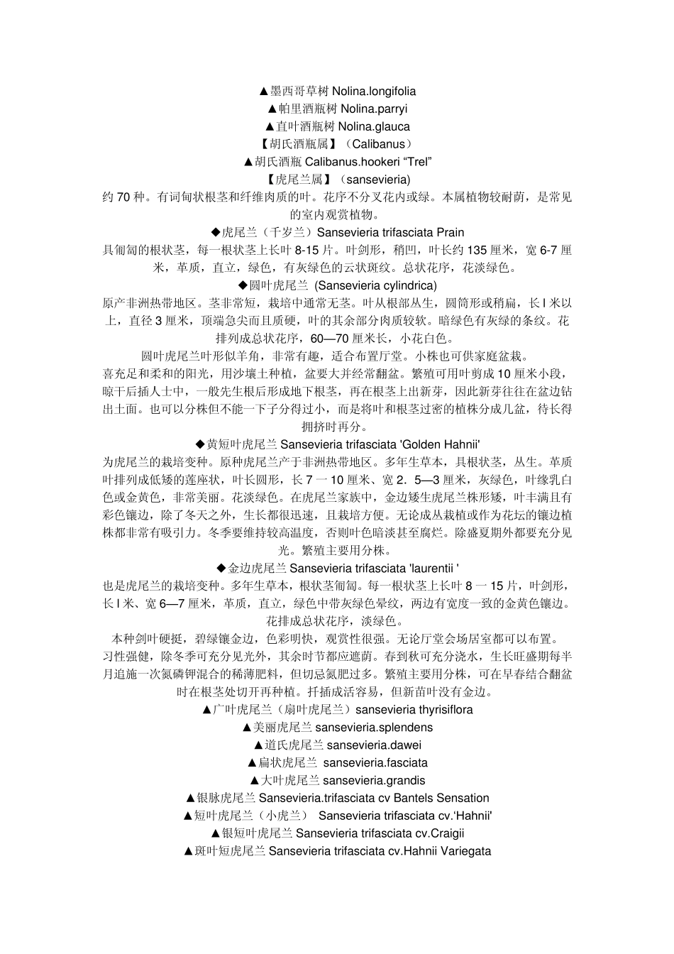 常见多肉植物分类_第3页