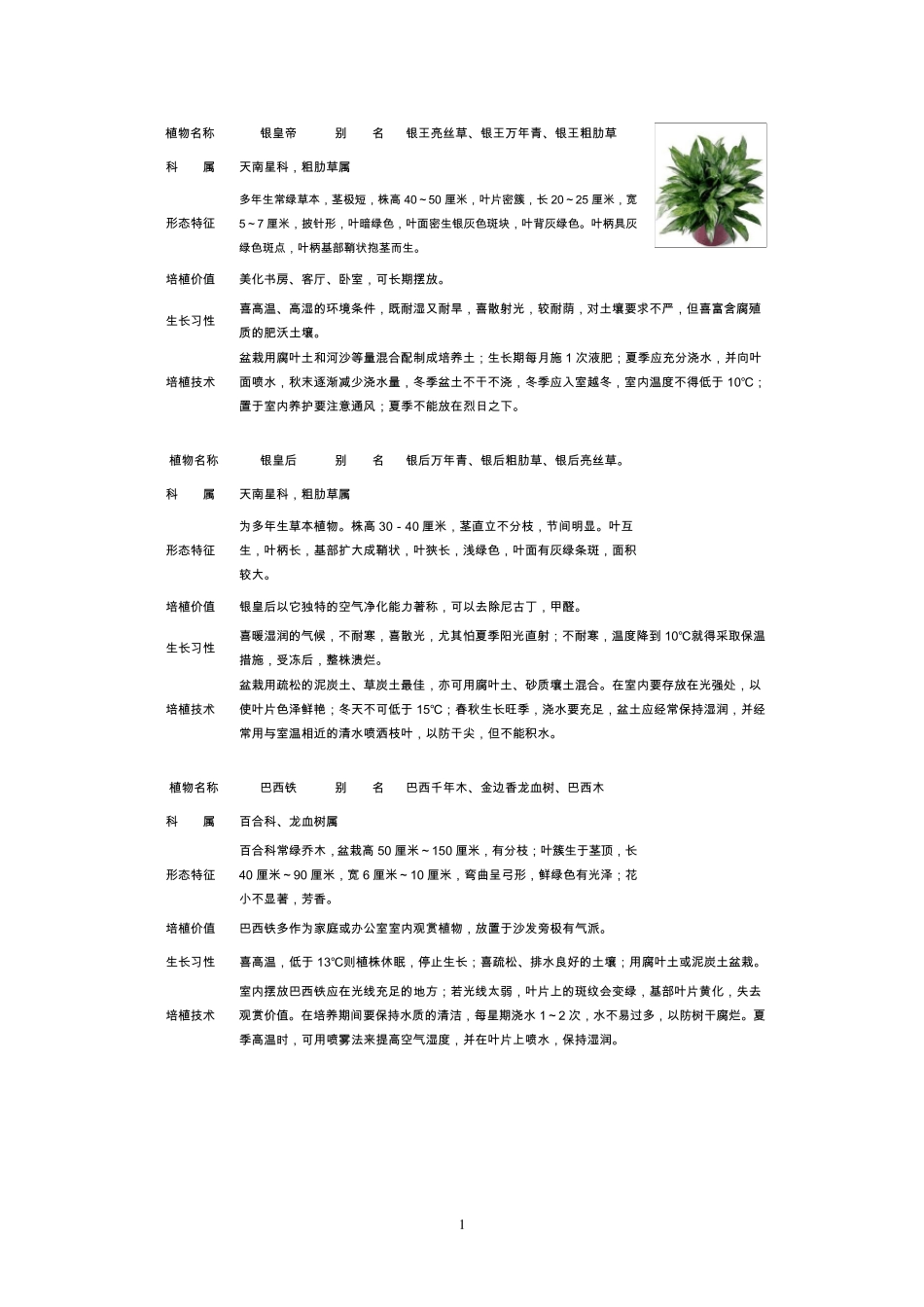 常见室内盆栽绿化植物介绍免费_第1页