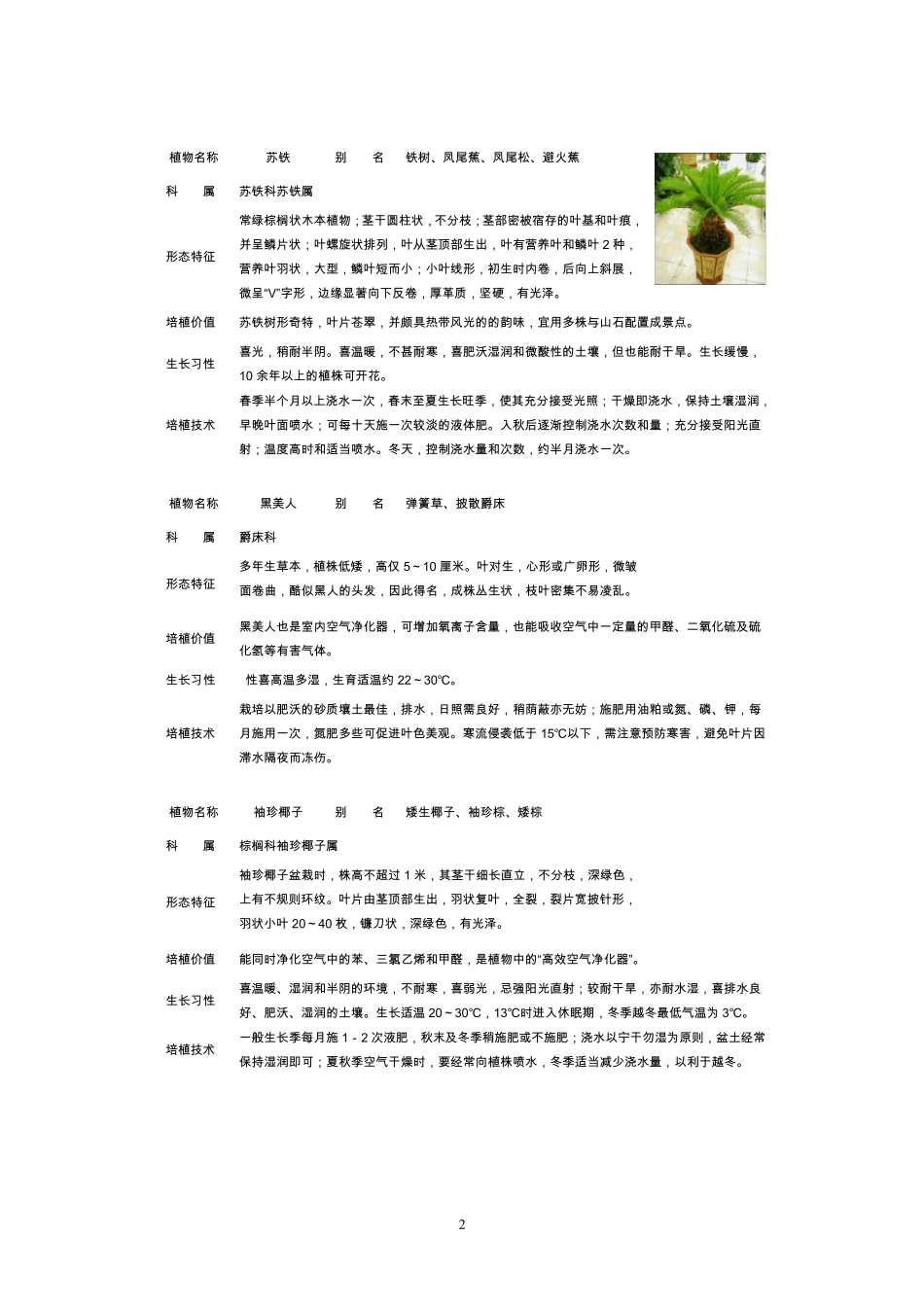 常见室内盆栽绿化植物介绍免费_第2页