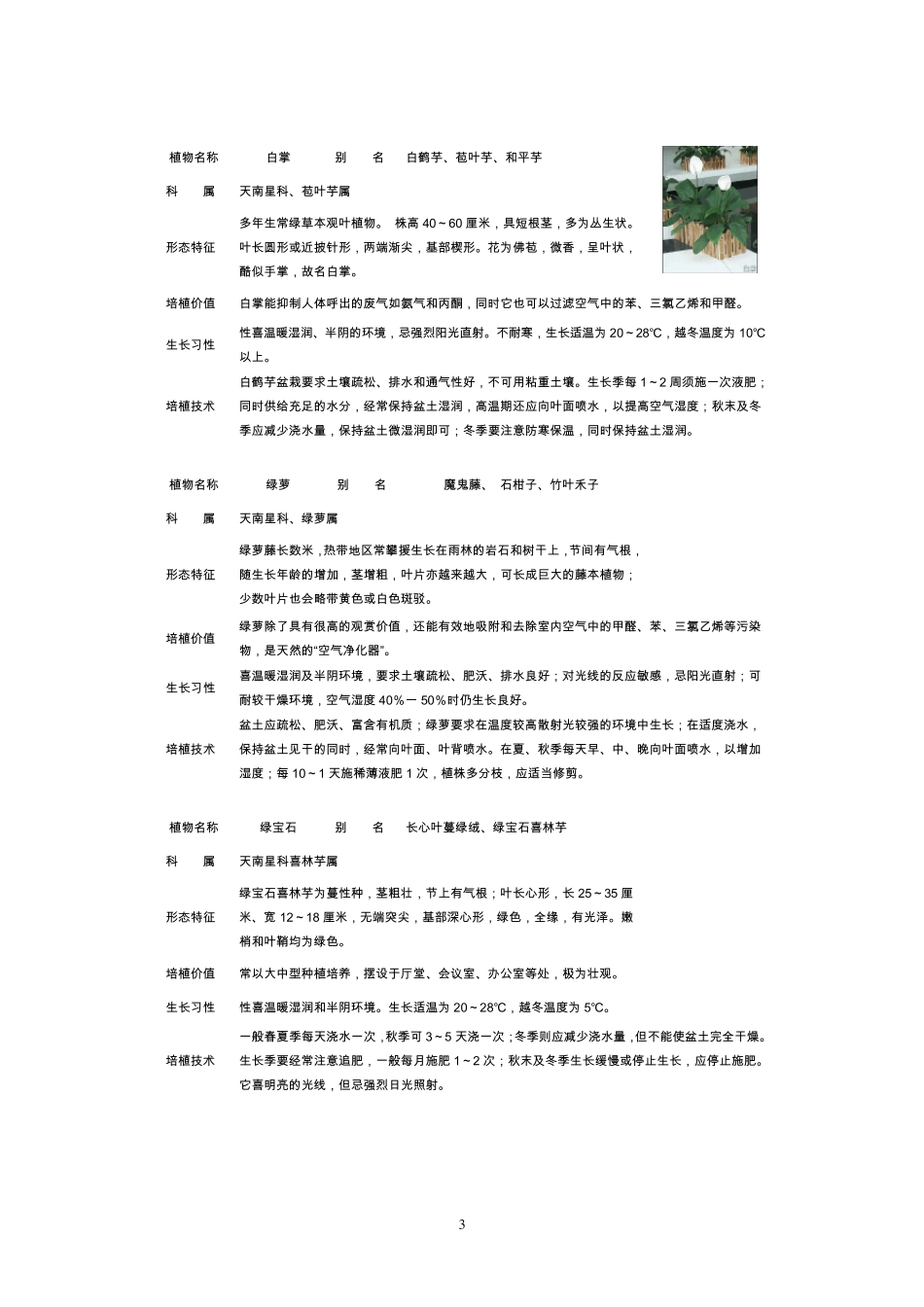 常见室内盆栽绿化植物介绍免费_第3页
