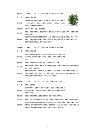 常见室内盆栽绿化植物介绍免费