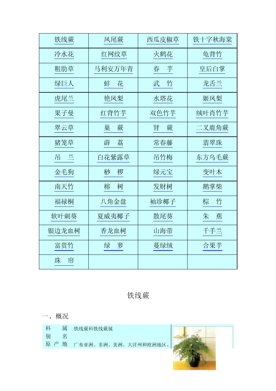 常见室内观叶植物图解_第2页