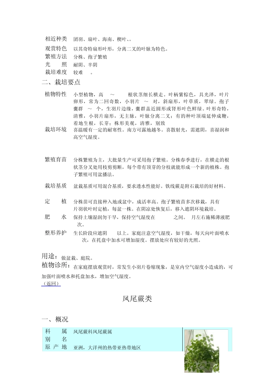 常见室内观叶植物图解_第3页