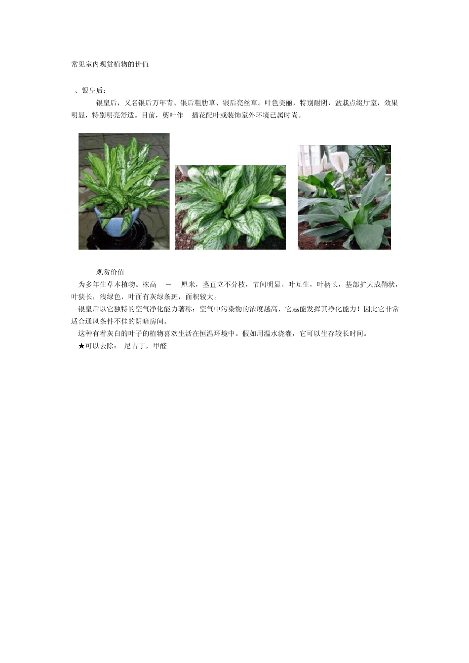 常见室内观赏植物的价值_第1页