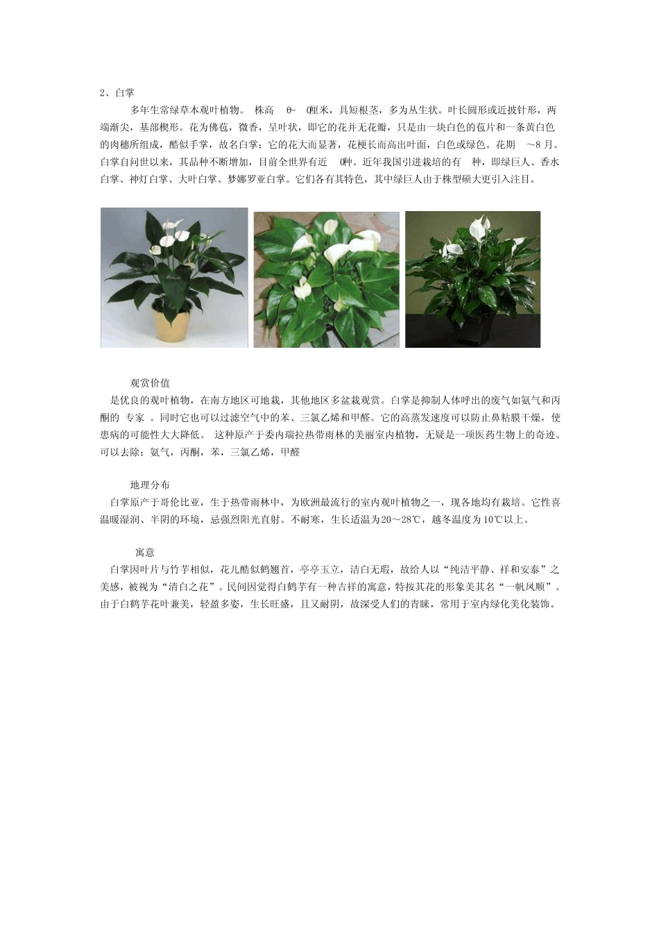 常见室内观赏植物的价值_第2页