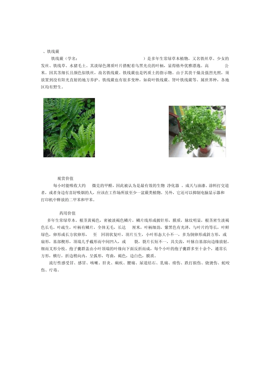 常见室内观赏植物的价值_第3页