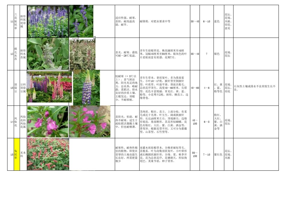 常见宿根花卉_第3页